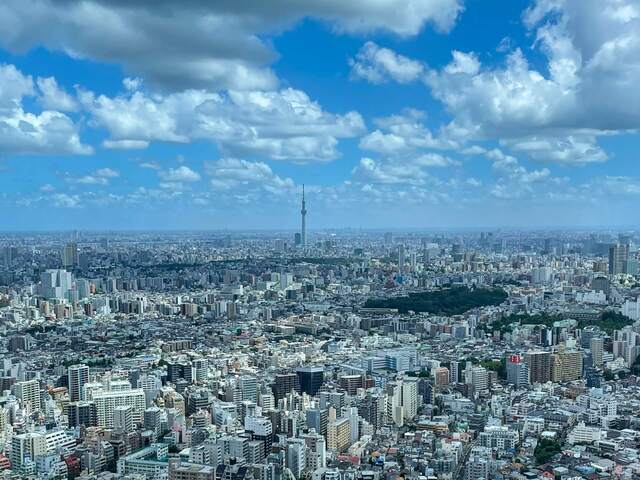 東京を見渡す広大な都市風景